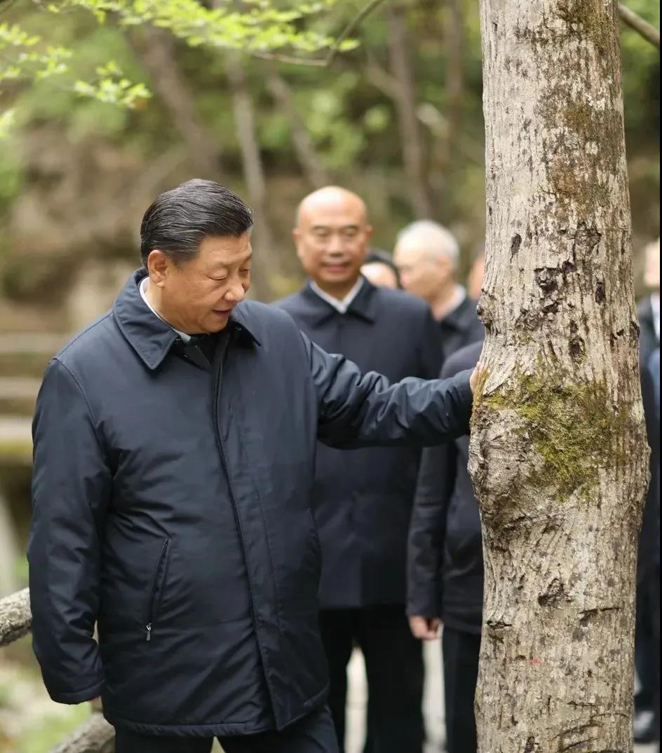 湖南綠楷節(jié)能環(huán)保科技有限公司,湖南土壤污染修復,污水處理工程,農業(yè)污染治理,環(huán)保工程